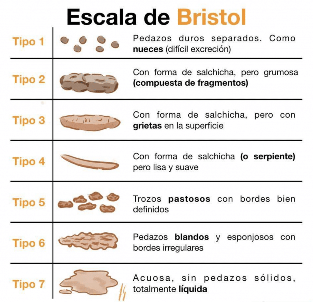 Escala de Bristol de clasificación de las heces.