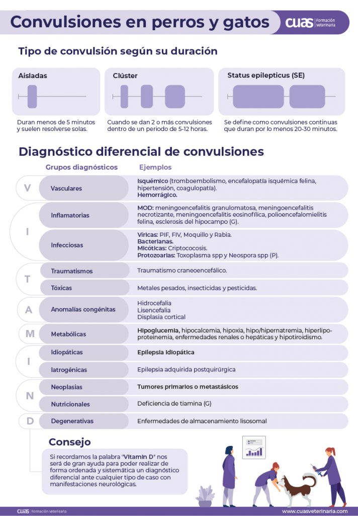 Convulsiones_Mesa de trabajo 1 copia