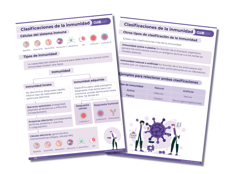001-CuasGift-flotando-infecciosas