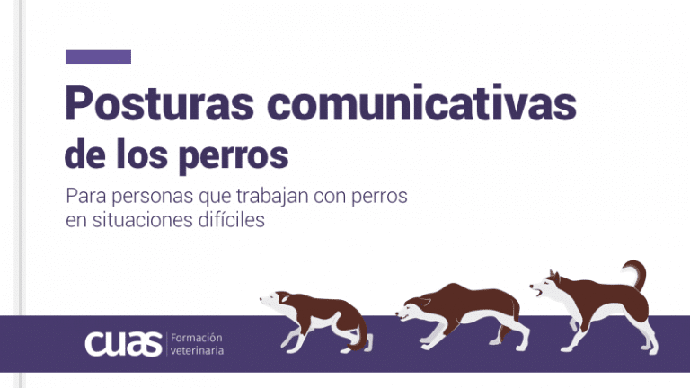 Captura-de-pantalla-2021-11-15-a-las-22.37.46.png