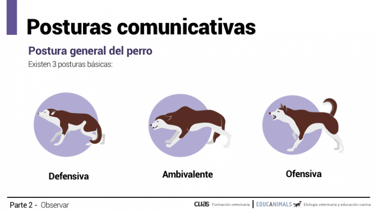 Captura-de-pantalla-2021-11-15-a-las-22.38.00.png