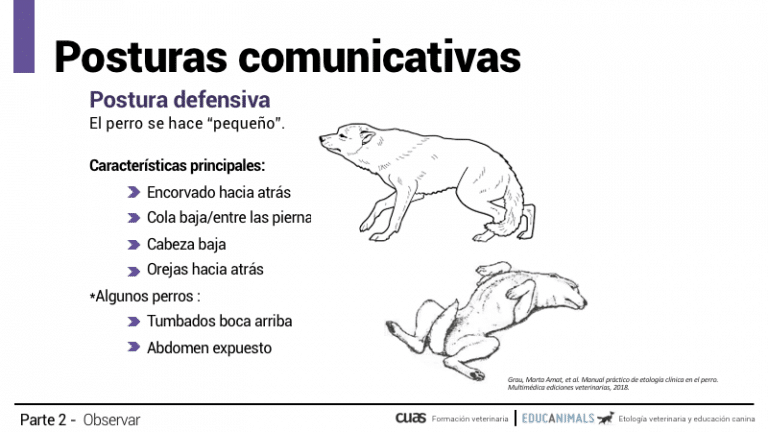 Captura-de-pantalla-2021-11-15-a-las-22.38.13.png