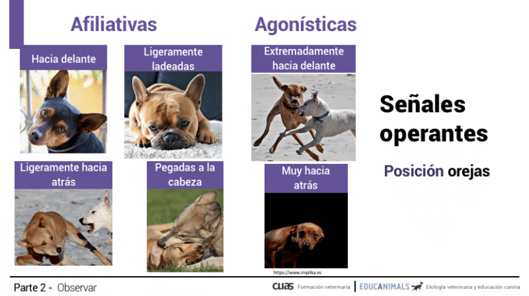 Captura-de-pantalla-2021-11-15-a-las-22.39.12.png