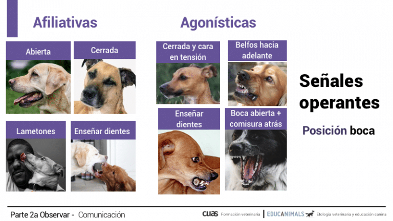 Captura-de-pantalla-2021-11-15-a-las-22.39.24.png