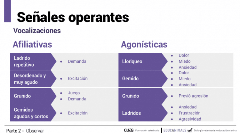 Captura-de-pantalla-2021-11-15-a-las-22.39.43.png