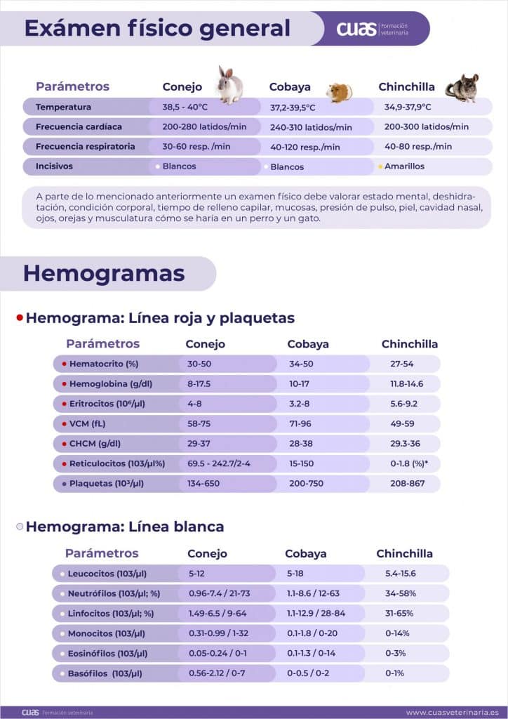Posters_Examen-fisico-Hemogramas-scaled.jpg