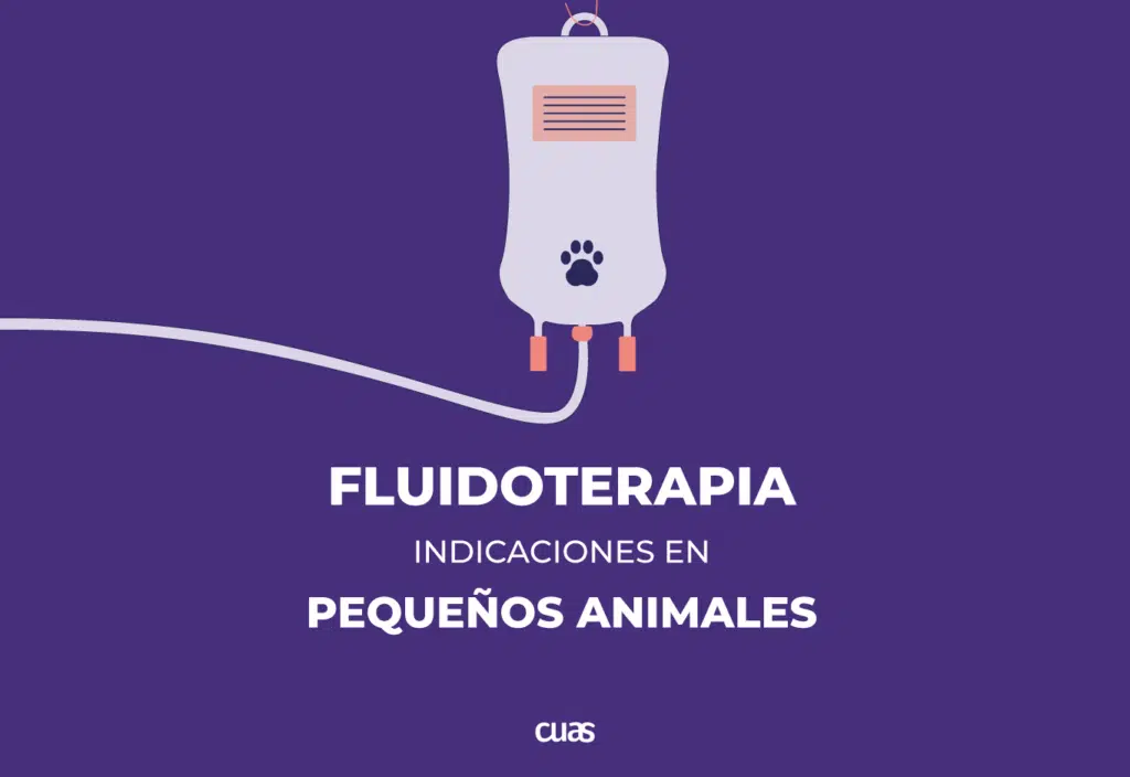 Descargar guías fluidoterapia