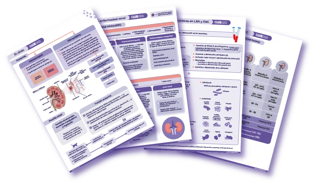 Manejo, tratamiento y hospitalización del paciente renal para ATV