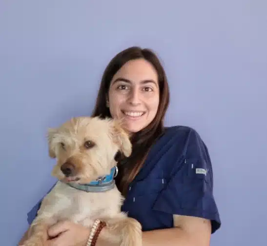 Curso trauma