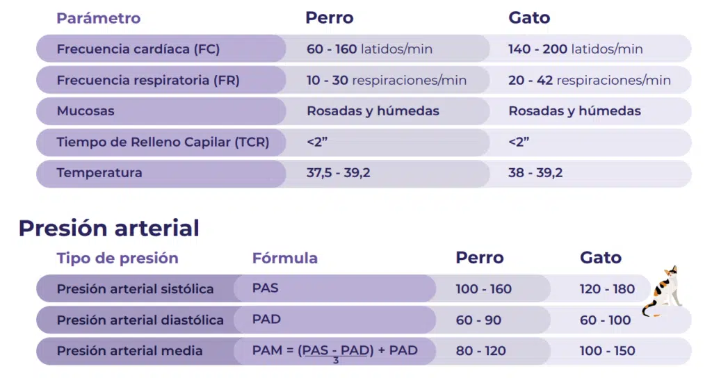 Monitorización del paciente con shock hipovolémico