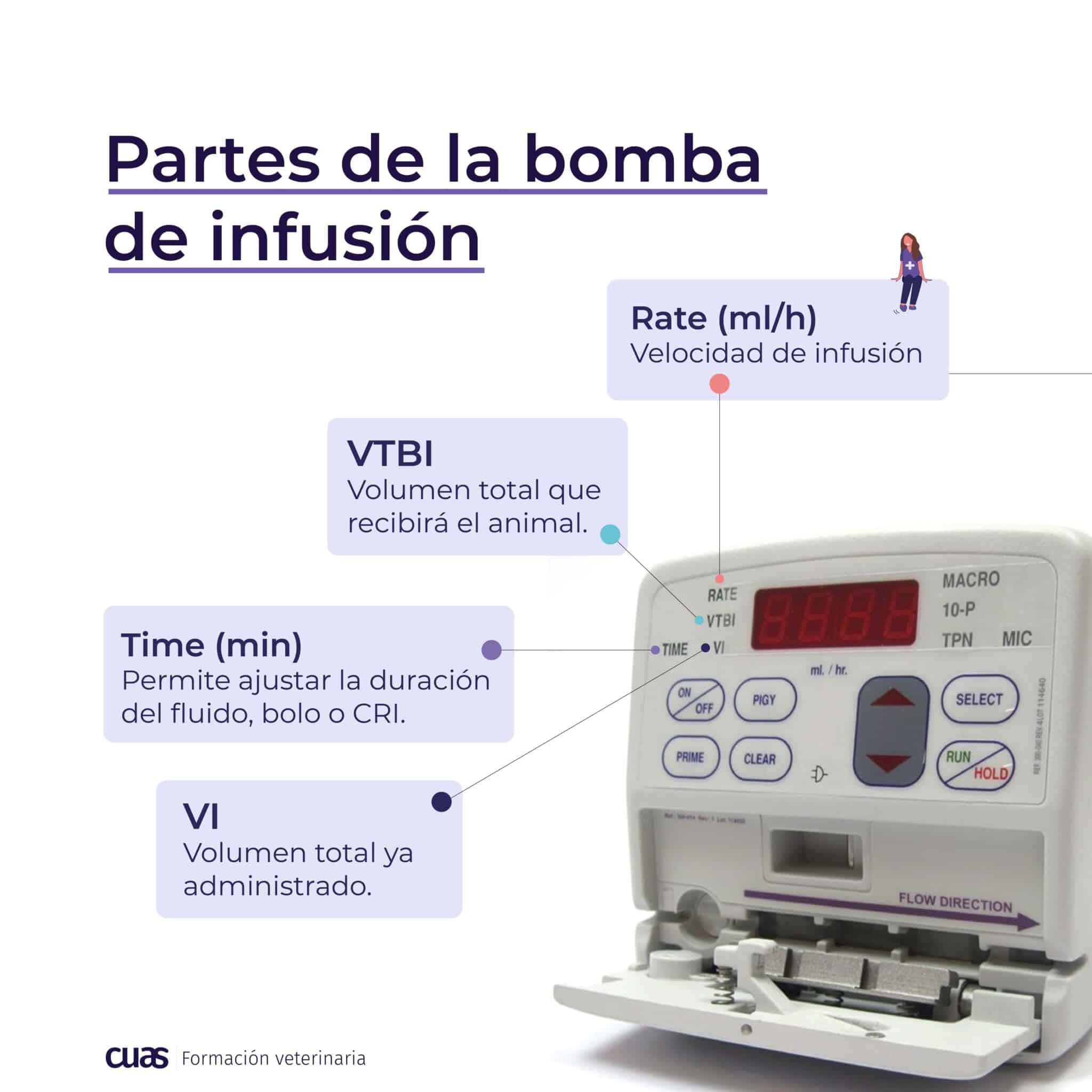 La importancia de la fluidoterapia en veterinaria Cuas Formación