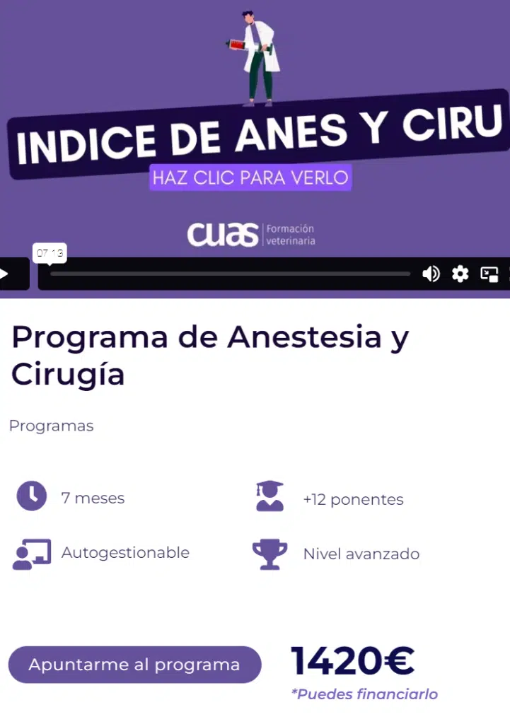 Clases gratis - Anestesia y cirugía
