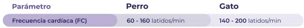 Frecuencia cardíaca en perros y gatos