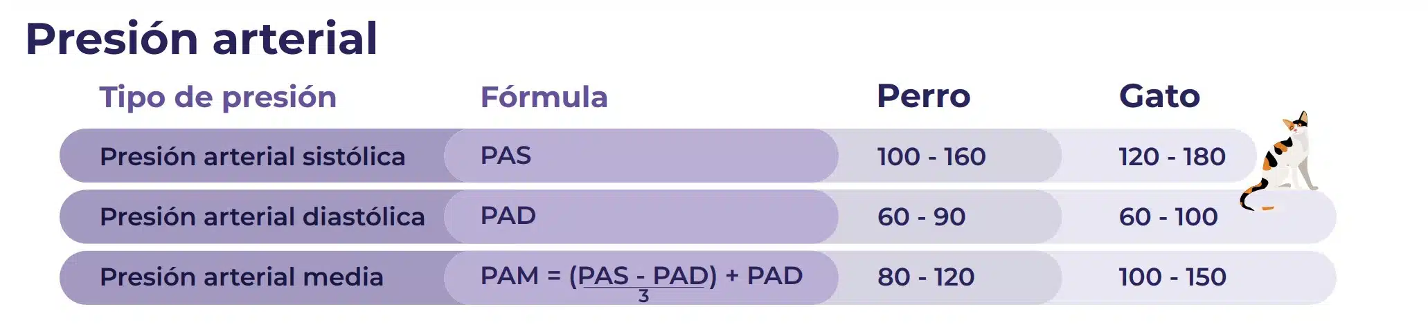 presión arterial media veterinaria