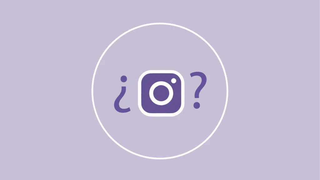 Las 5 mejores cuentas de Instagram para veterinarios novatos