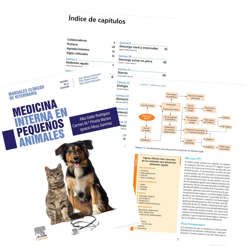 Medicina interna en pequeños animales: Manuales clínicos de Veterinaria