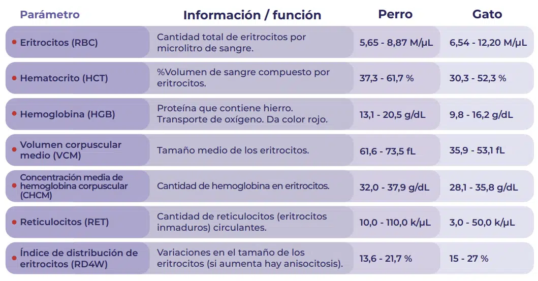 reticulocitosis en perros y gatos