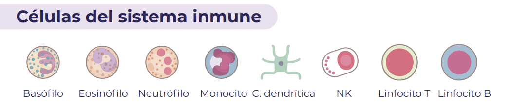 células del sistema inmune