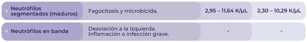 neutrófilos perro