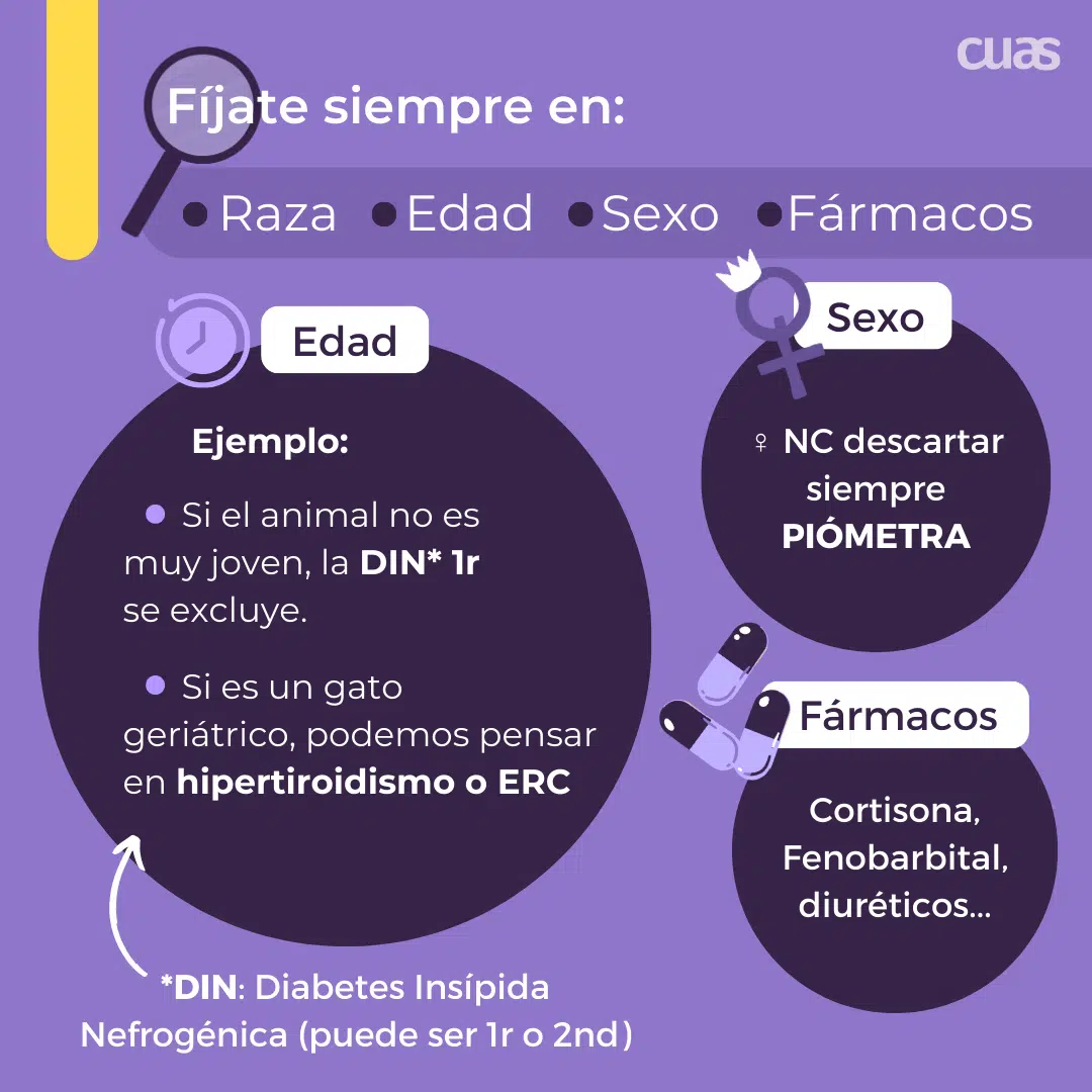 Protocolo diagnóstico para PUPD