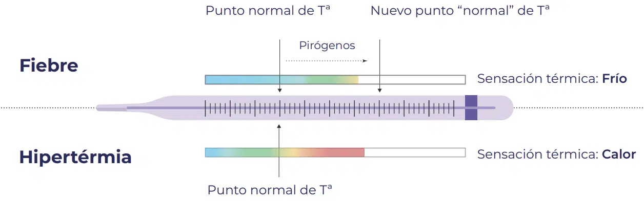 Fiebre Hipertérmia