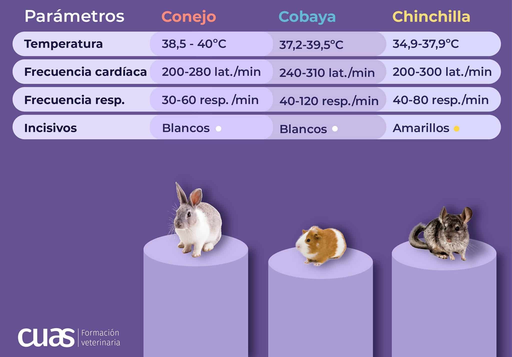 Parámetros conejo, cobaya y chionchilla