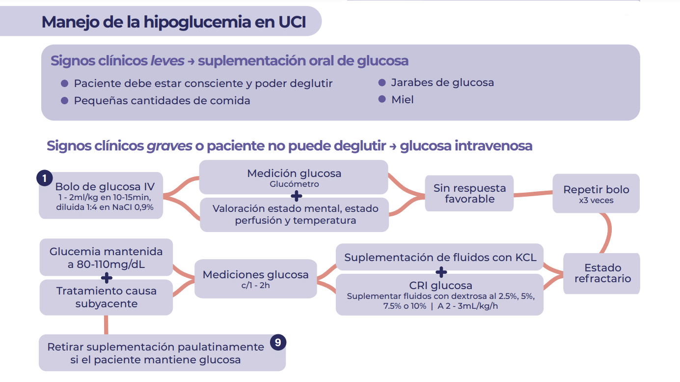Manejo de la hipoglucemia en UCI