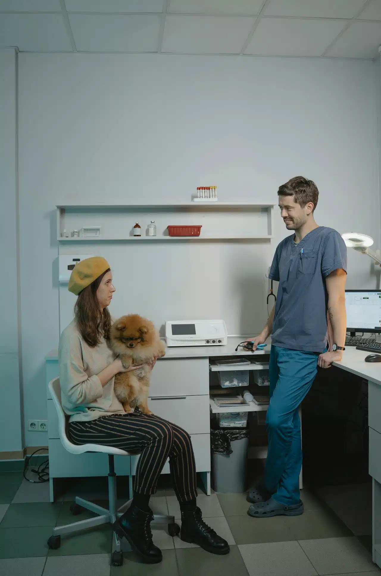 Estrategias para una comunicación de malas noticias en la clínica veterinaria