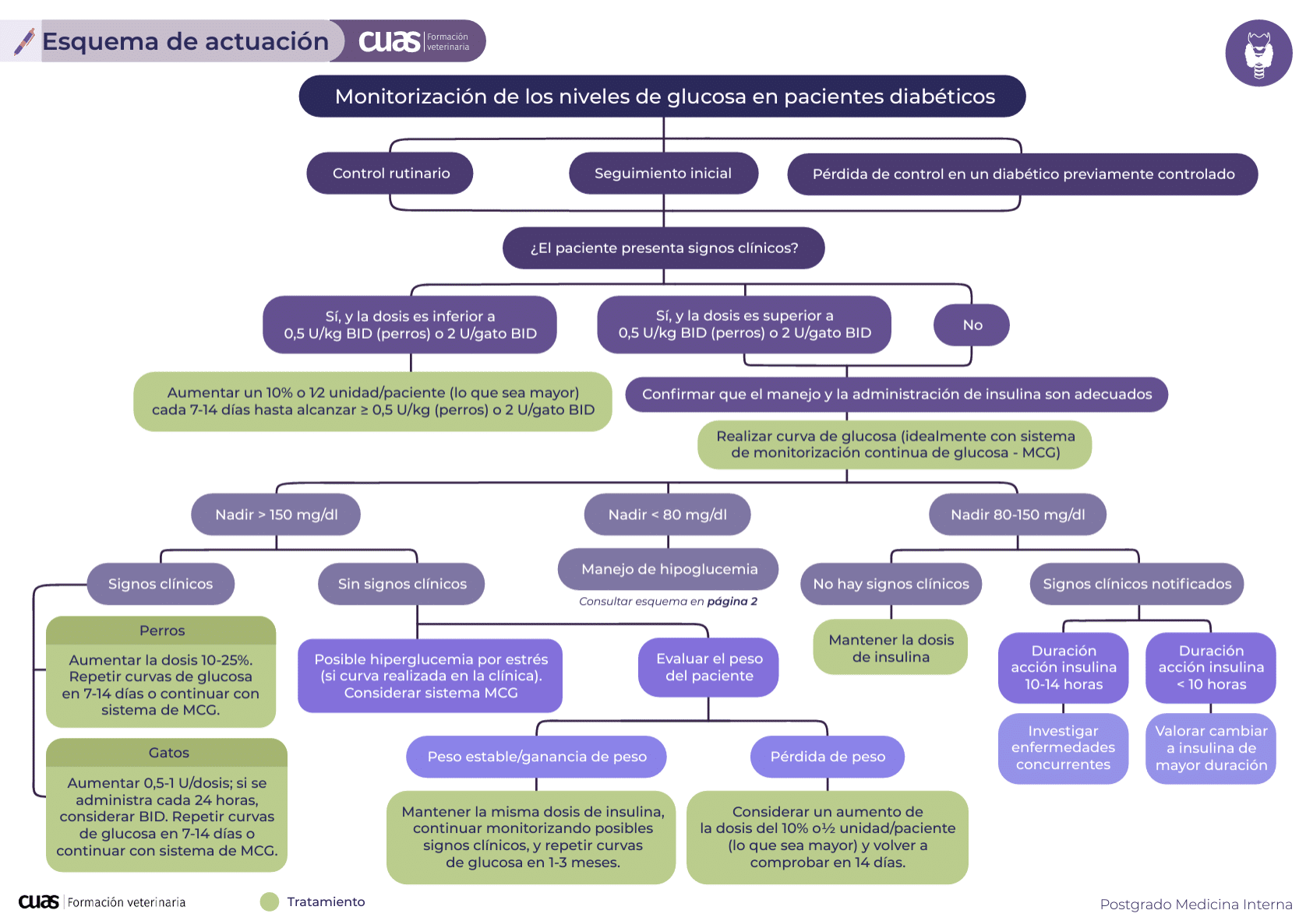 Endocrinología: Diagnóstico y tratamiento eficaz