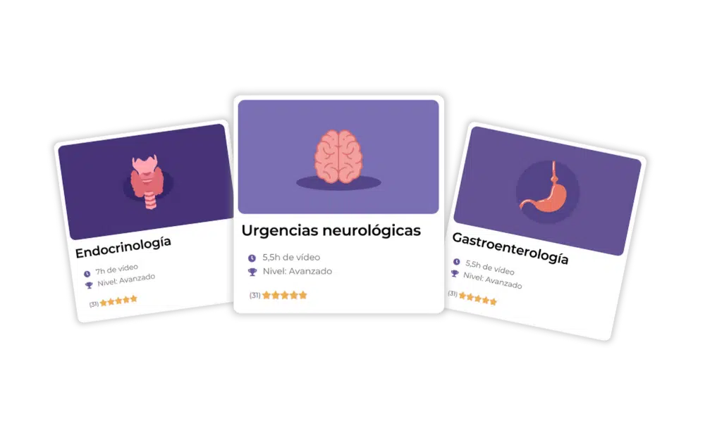 Hype Summer time - VET