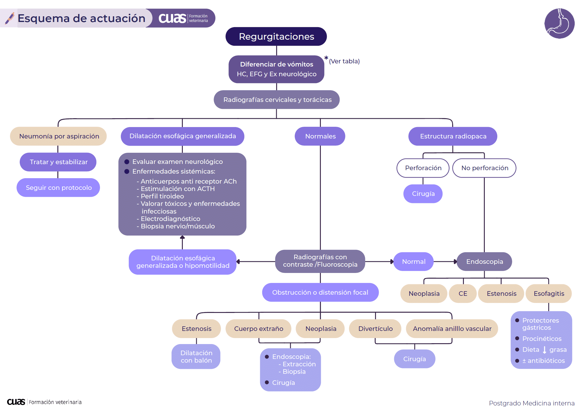 Urgencias neurológicas: Diagnóstico y actuación rápida