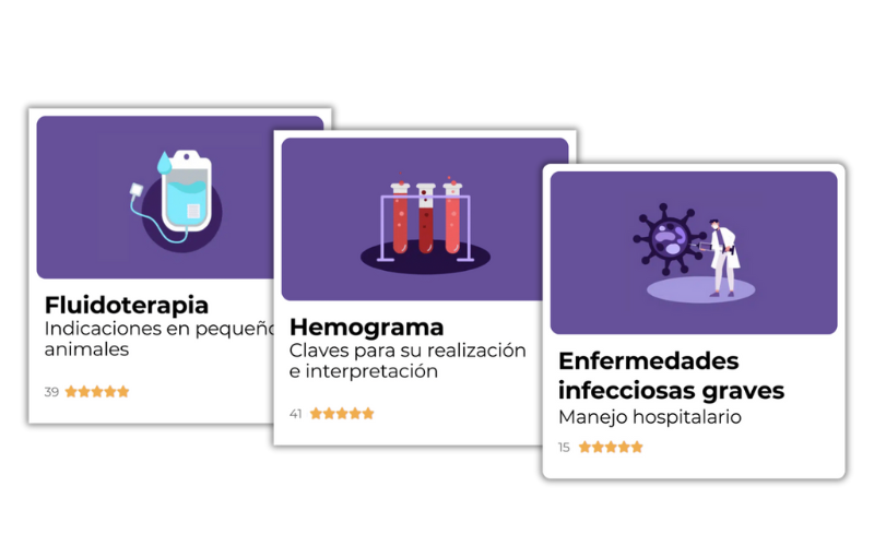 Summer time cursos - ATV