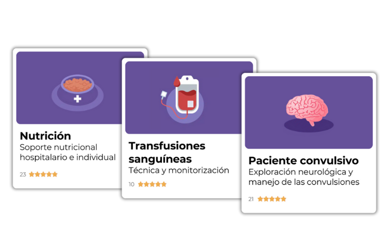 Summer time cursos - ATV