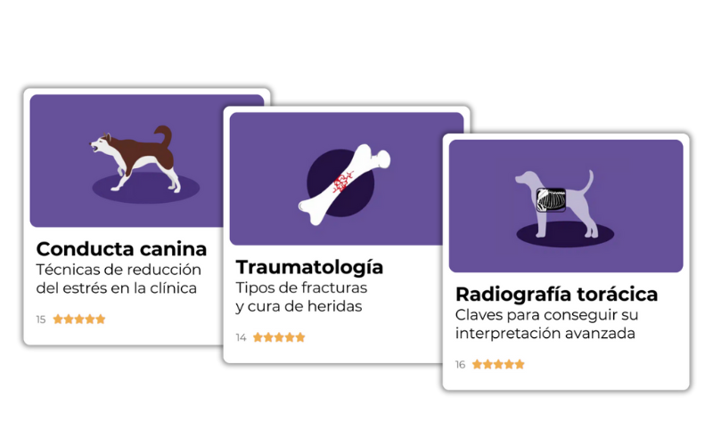 Summer time cursos - ATV