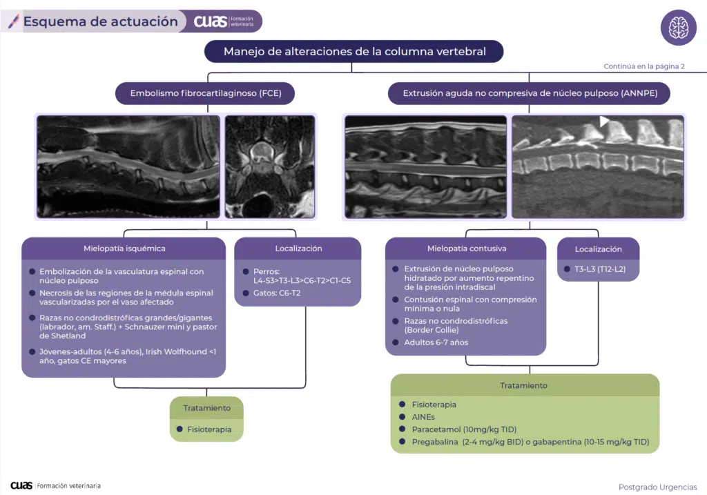 Urgencias neurológicas: Diagnóstico y actuación rápida
