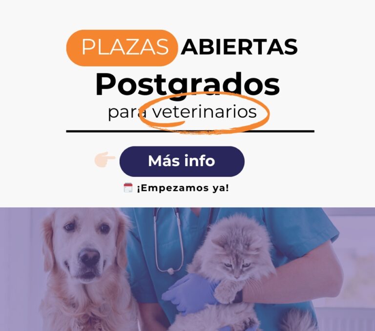 Interpretación de los valores renales de un gato en una analítica ...