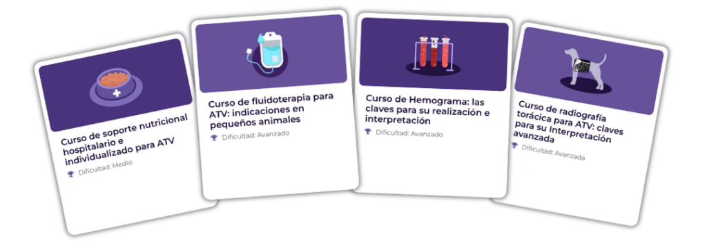 Cursos intensivos cuas