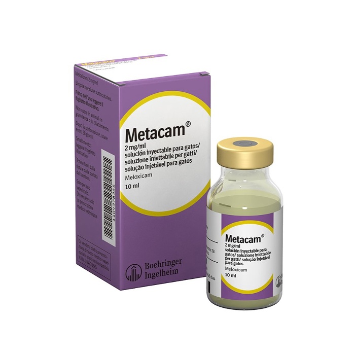 Metacam (meloxicam): antiinflamatorio de referencia en el manejo del dolor crónico y postoperatorio en pequeños animales