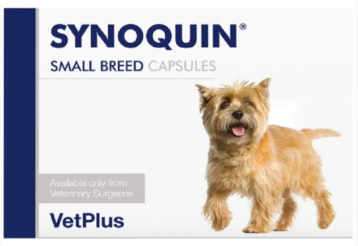 Synoquin: condroprotector para perros y gatos