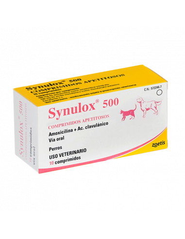 Synulox en la clínica veterinaria: un antibiótico de confianza con perfil versátil y eficacia contrastada