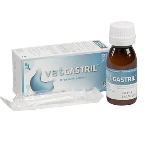Vetgastril en perros y gatos: uso clínico del protector gástrico veterinario