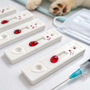 Cómo valorar la función pancreática con tests rápidos